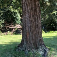 Photo by _haere.ki.waho_