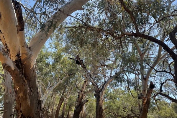 Photo by Happy Hour Hunters