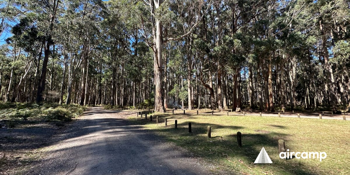 Ditchfields Camp Area