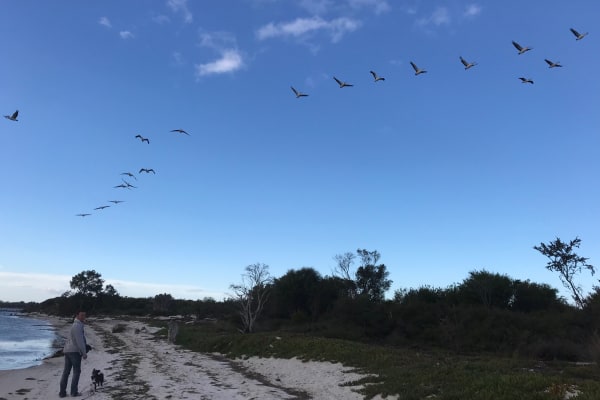 Photo by Donna Shayne Wilkes