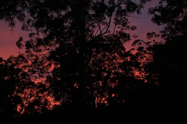 Photo by Lilah M.