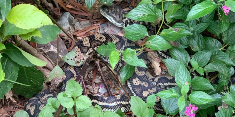 Photo by Off The Trax