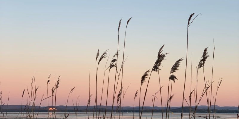 Photo by Catarina A.