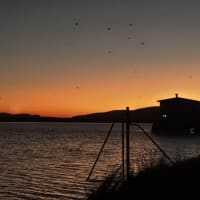 Photo by Colin van den Hoff