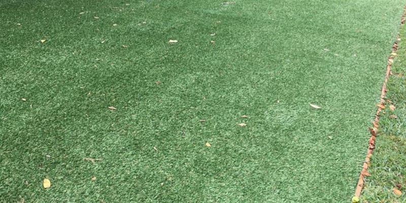 Photo by Michelle L.