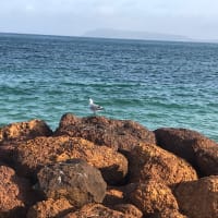 Photo by Nomxolisi M.