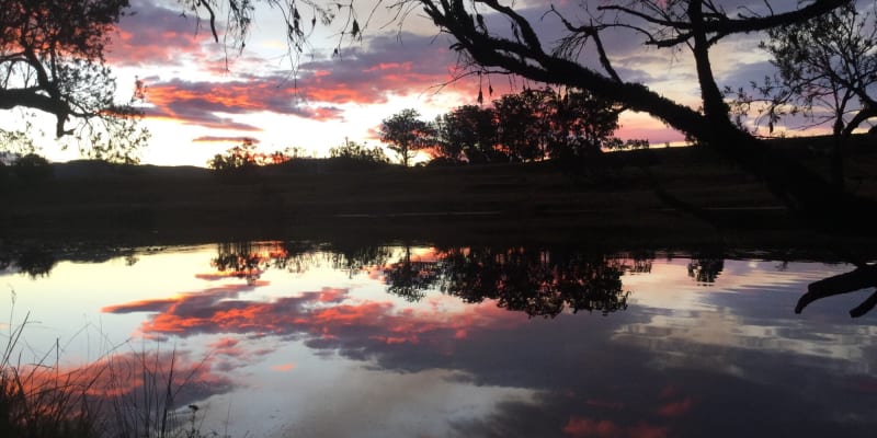 Photo by Margaret McNeill Ljubicic