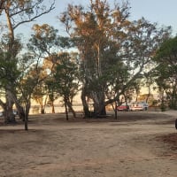 Photo by Suzanne Van Graas