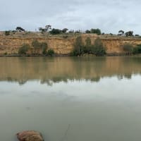 Photo by Rach & Denni