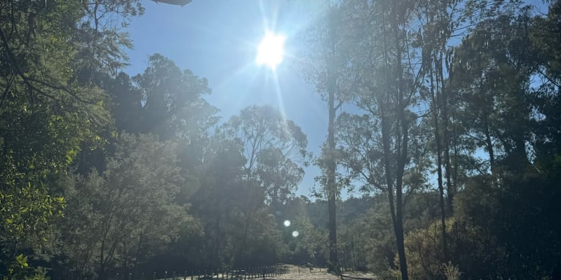 Photo by Paul J Polderman