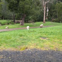 Photo by Clarissa R.