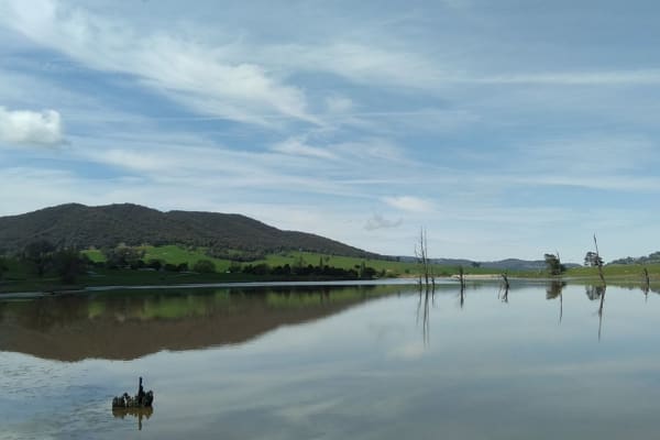 Photo by Dannielle P.