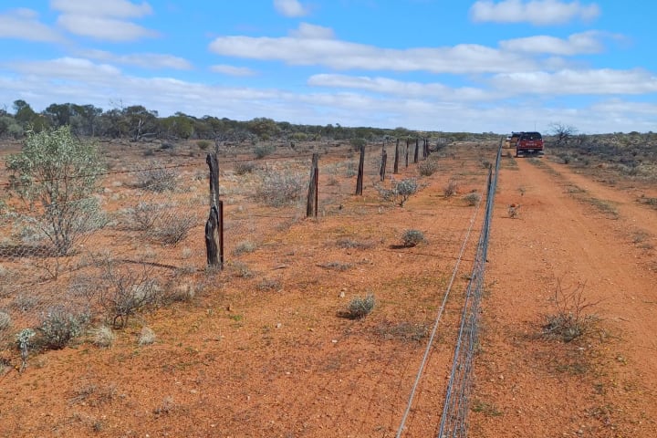 Photo by NightRanger D.