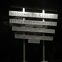 Photo by Robyn Shannara Bryson