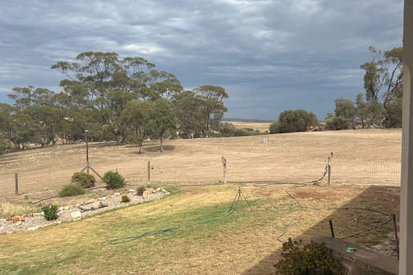 Photo by AnnMaree M.