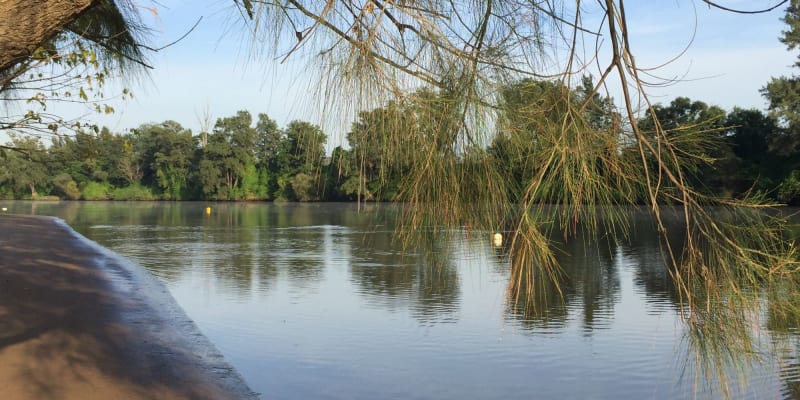 Photo by Percy’s P.