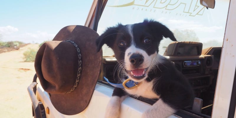 Photo of Giralia Station Beach Camps