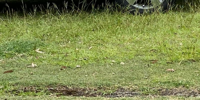 Photo by Louise Le Roux