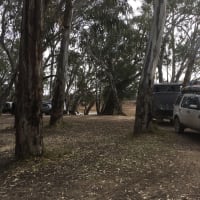 Photo by Karen Ann Richardson