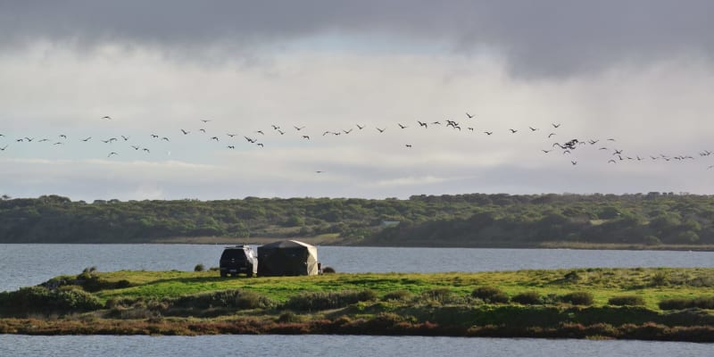 Photo by Brucethegoose