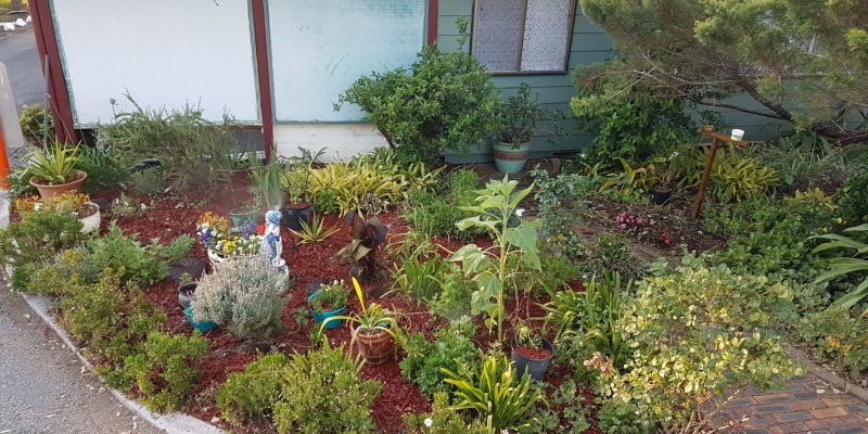 Photo by Michelle C.