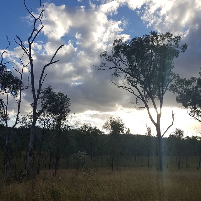 2 campgrounds with cabins near Beeron National Park Anycamp