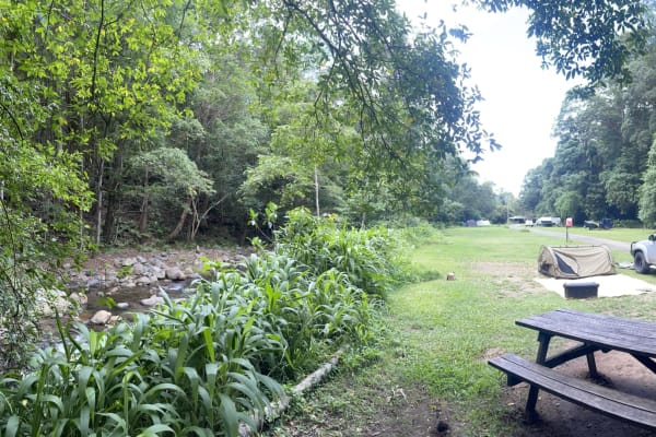 Photo by Courtney T.