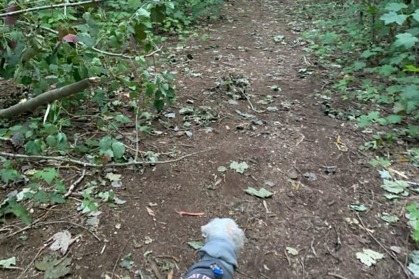 Photo by TravelTayls