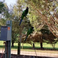 Photo by Colin van den Hoff