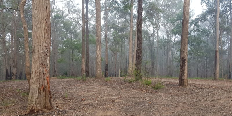 Photo by Kristyna M.