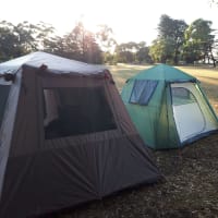 Photo by Kristine B.