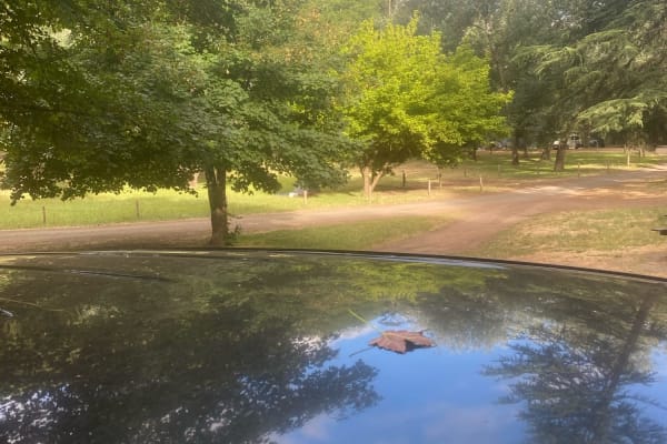 Photo by HomeIsWhereWeParkIt