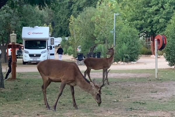 Photo by Kerri-lee M.