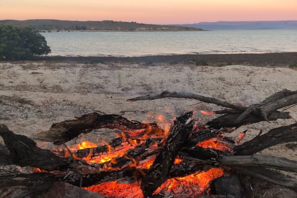 Photo by Philippa D.