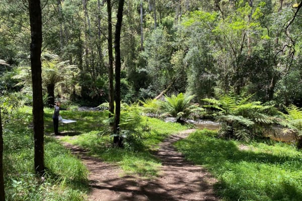 Photo by Isabella H.