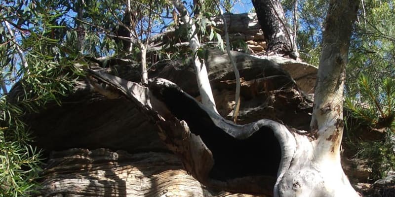 Photo of Uloola Falls campground