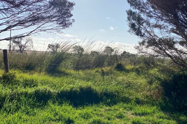 Photo by Chris Titan Topher