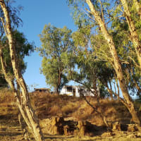 Photo by My Rig Adventures