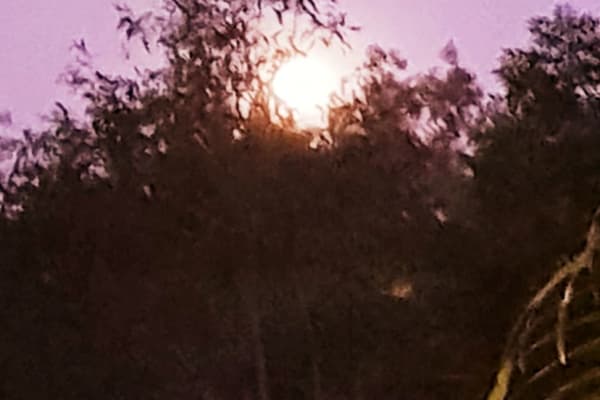 Photo by Terri Le Terour