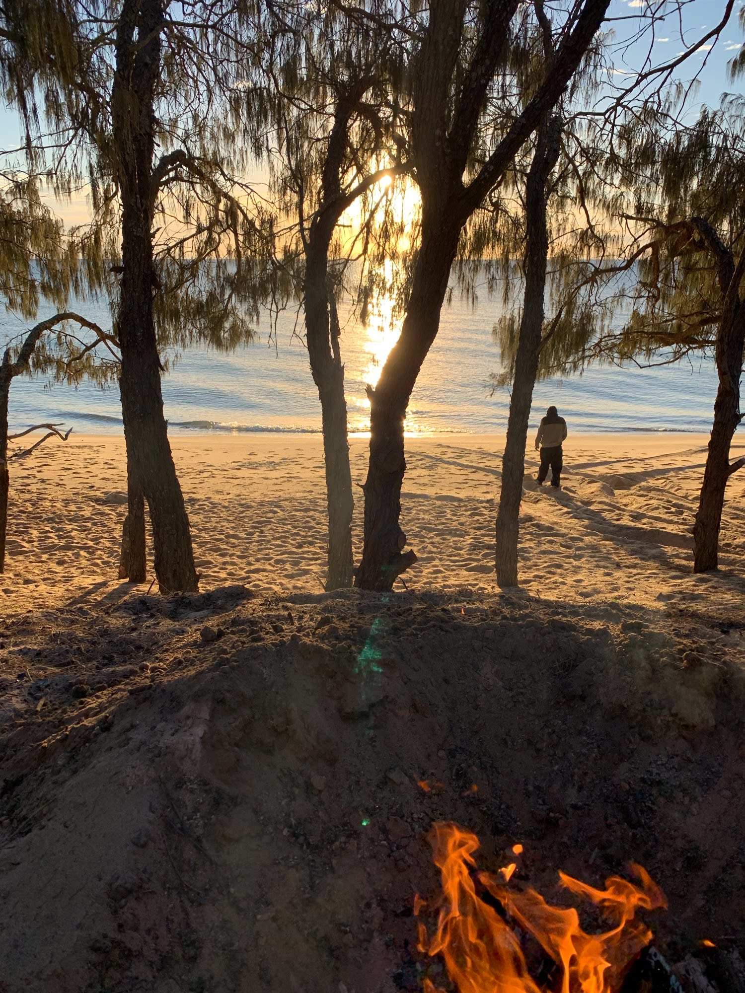 Top 1 National Park campgrounds near Coonarr Beach - Anycamp