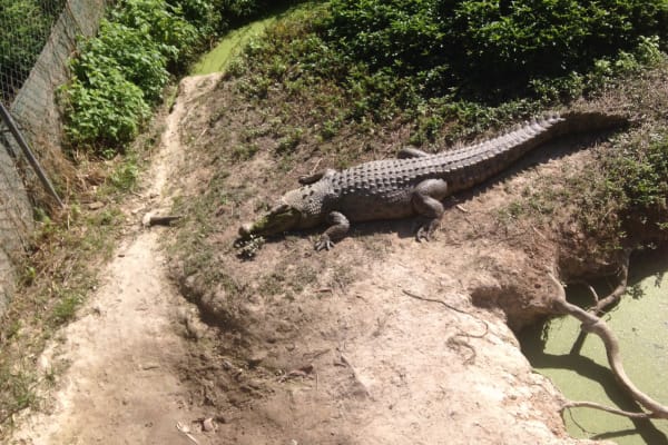 Photo by Christine B.