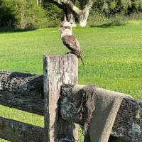 Photo by Benjamin A.