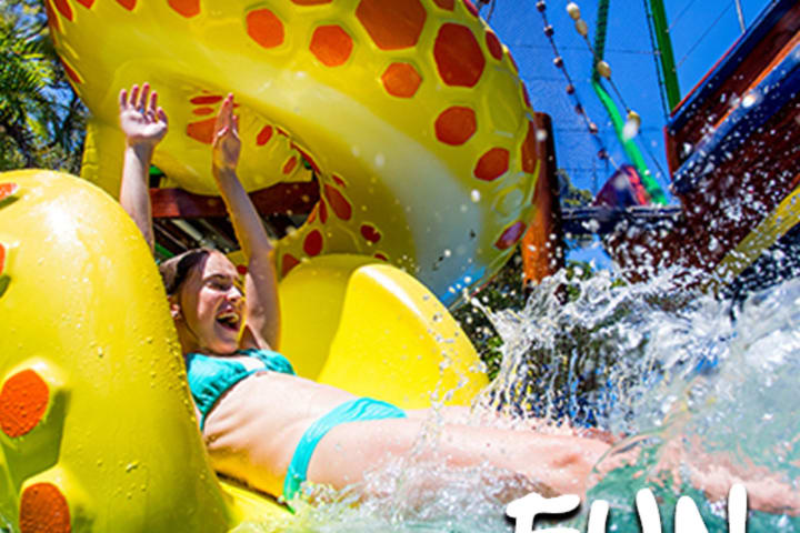 Photo by Marketing T.