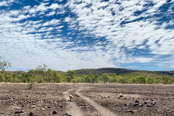 Photo by Corporate to Caravan