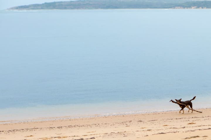 Photo by Guest.Relations