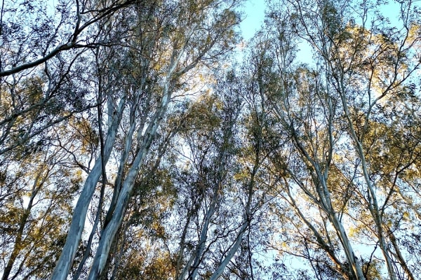 Photo by Leonie Bailey Sharrock