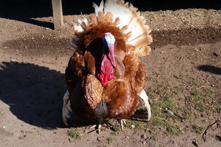 Photo by Jenni-Dawn B.