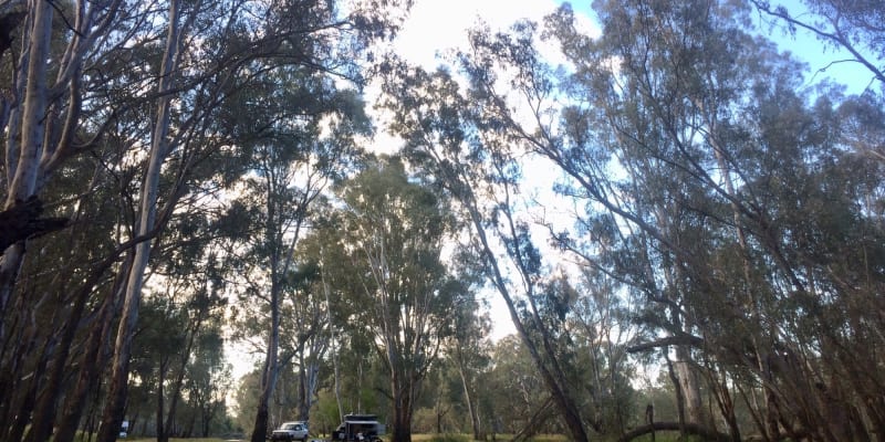 Photo by Karen Ann Richardson