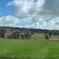 Photo by Lee-Anne F.