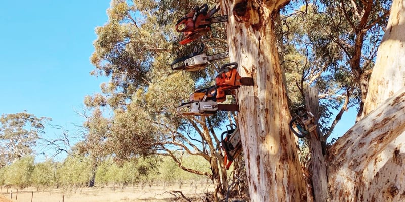 Photo by Off The Trax